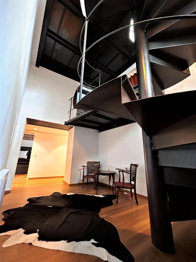 Historical Luxury Homes - Luxus Familien Suite Freiburg im Breisgau Exterior photo